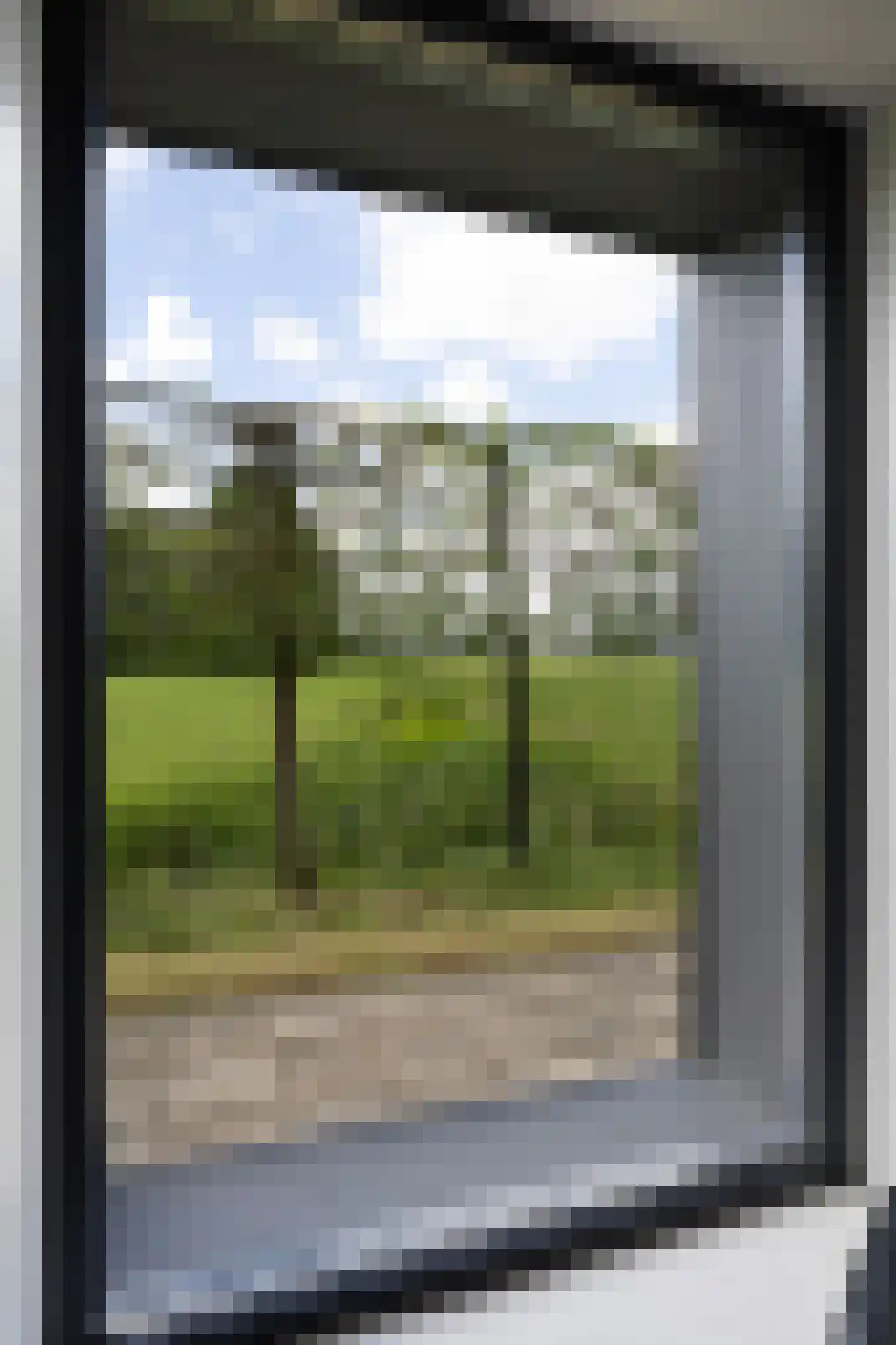 Hegedyk 38 Marsum thumbnail 33