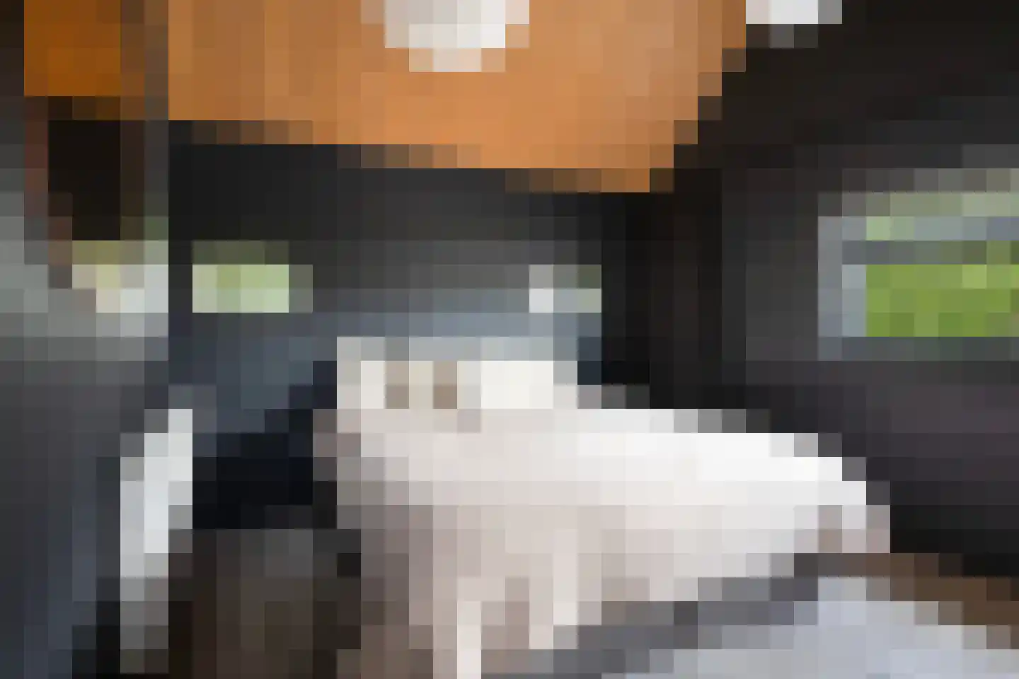 Hegedyk 38 Marsum thumbnail 42