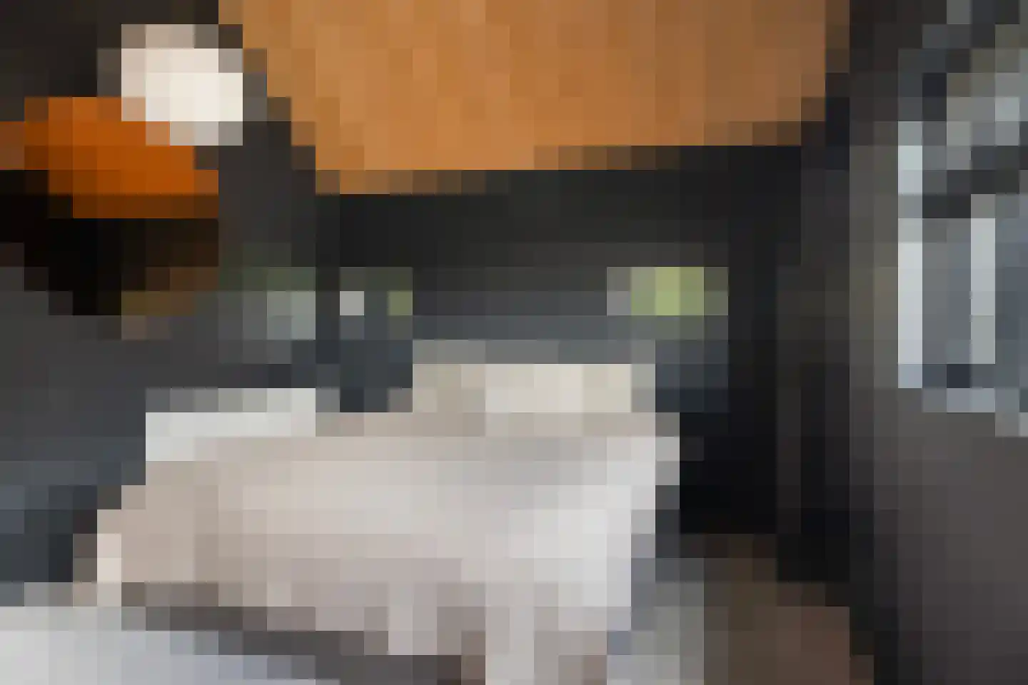 Hegedyk 38 Marsum thumbnail 43