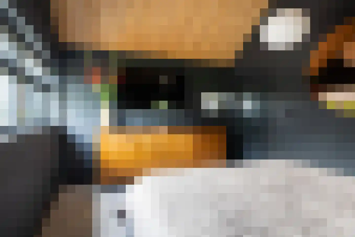 Hegedyk 38 Marsum thumbnail 44