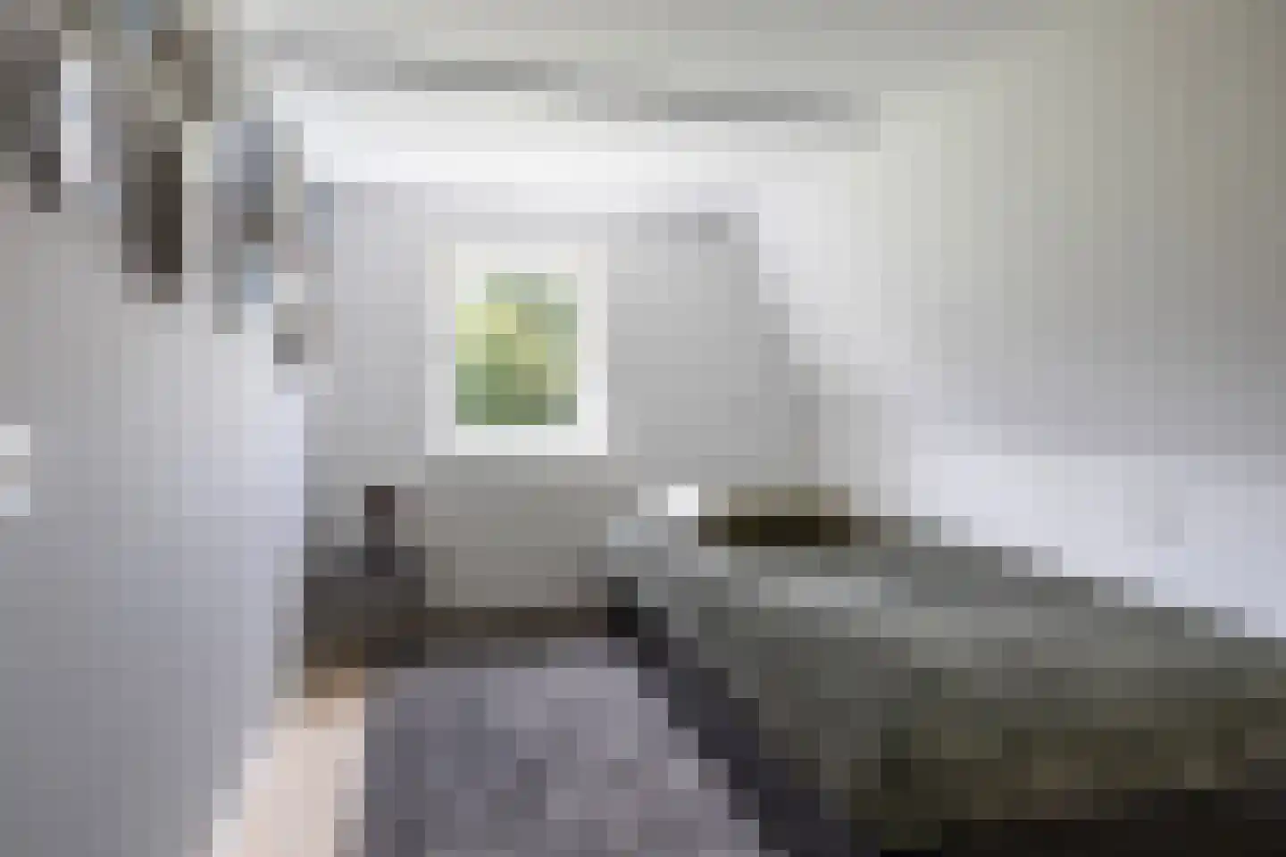 Hegedyk 38 Marsum thumbnail 51