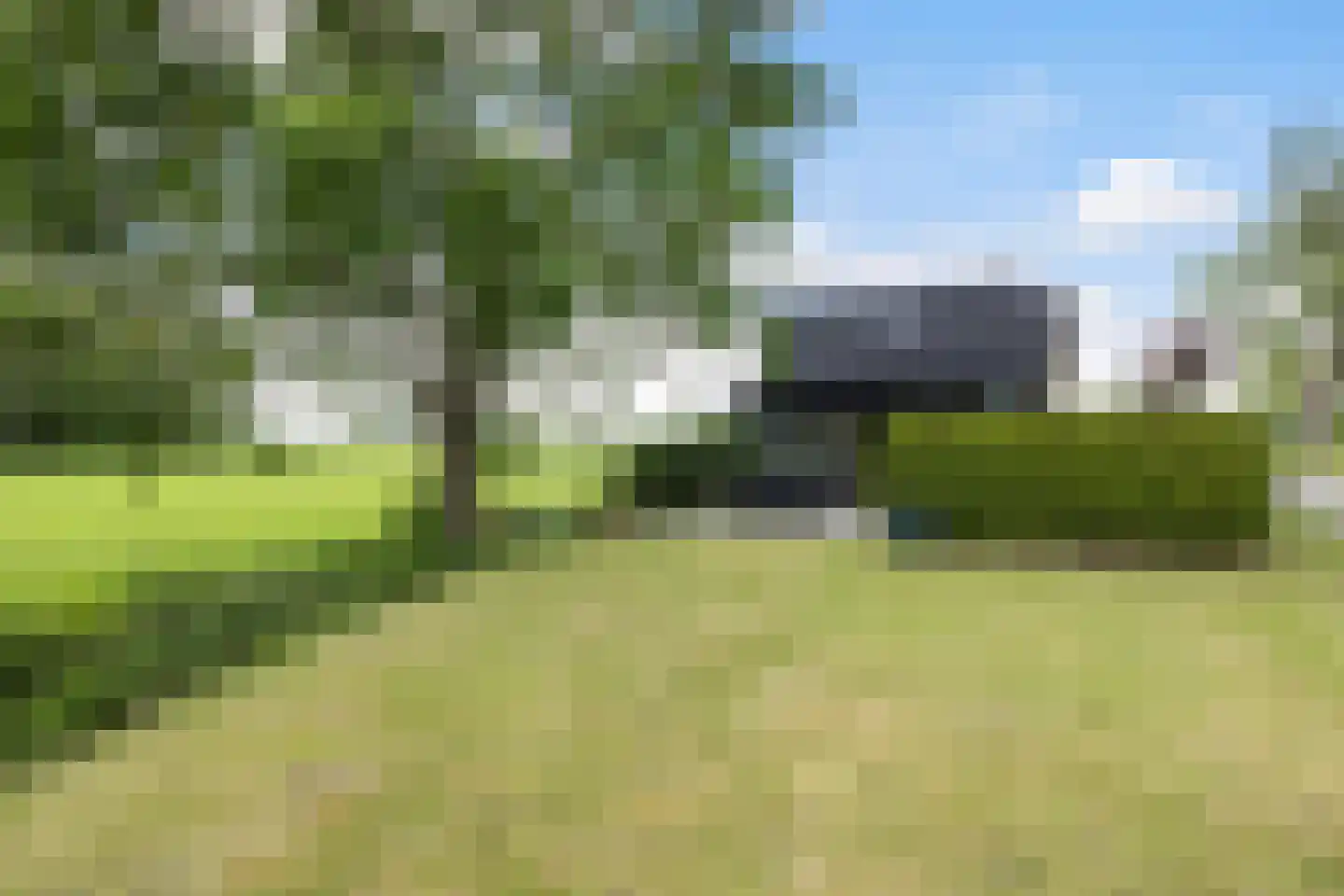 Hegedyk 38 Marsum thumbnail 55