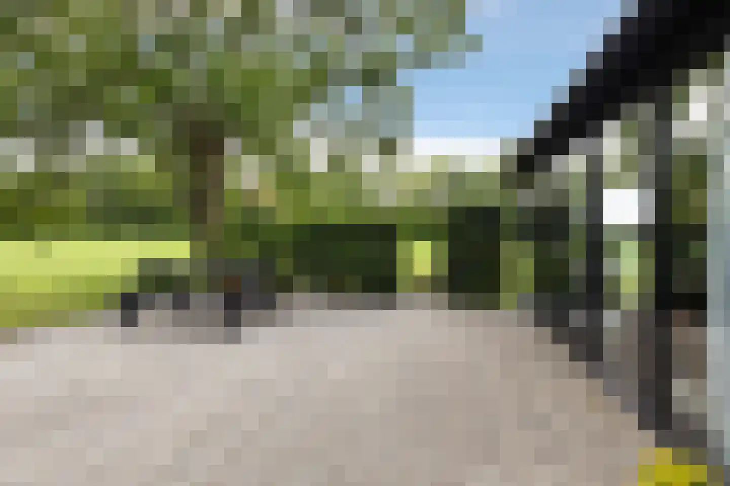 Hegedyk 38 Marsum thumbnail 57