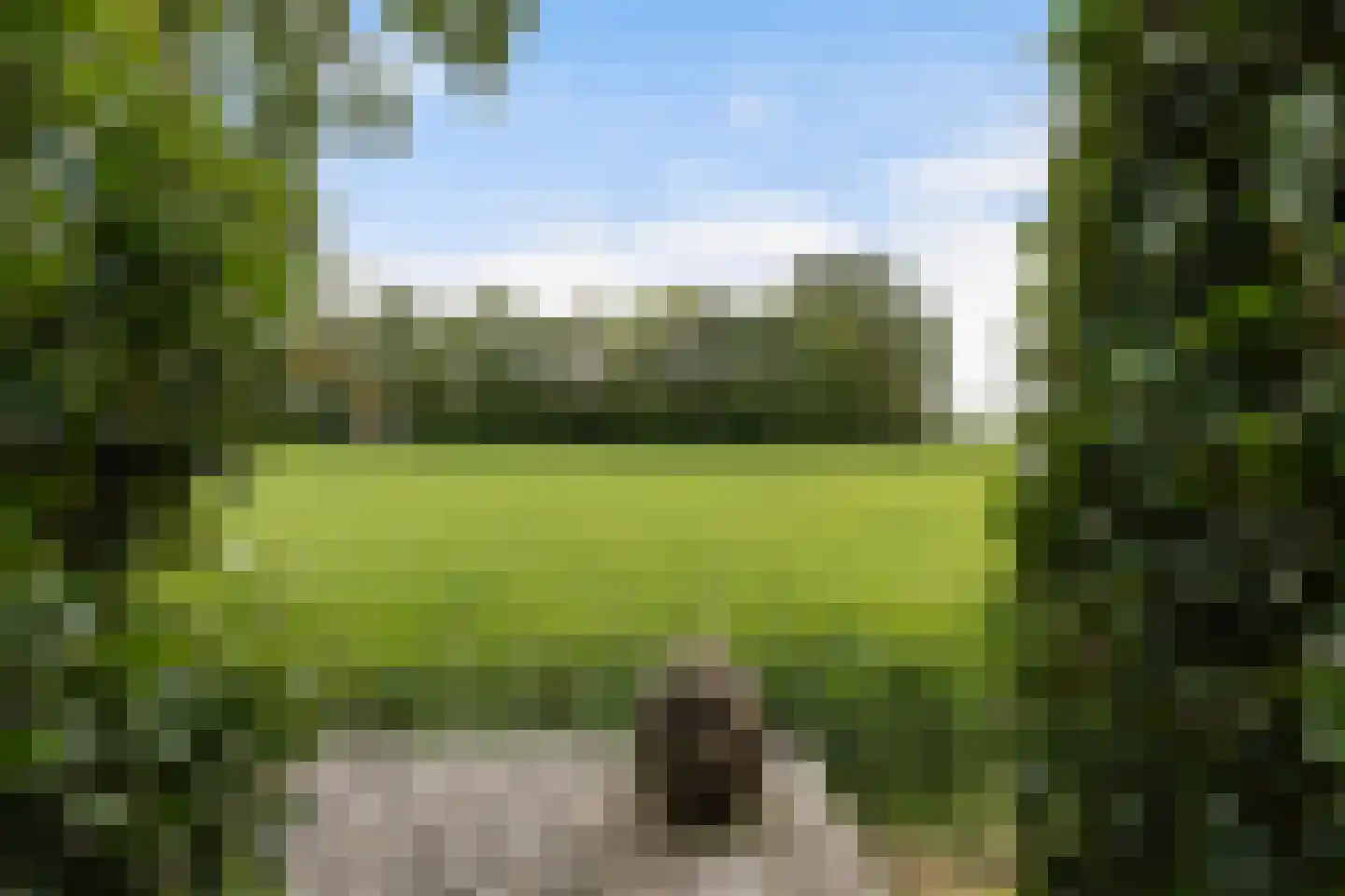 Hegedyk 38 Marsum thumbnail 58