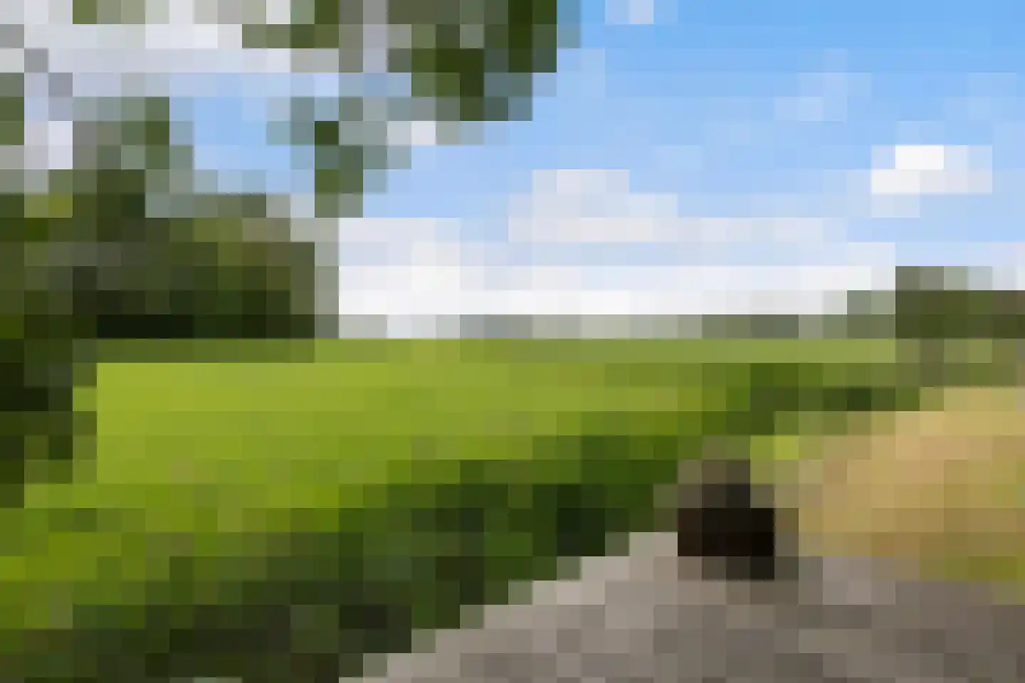 Hegedyk 38 Marsum thumbnail 59
