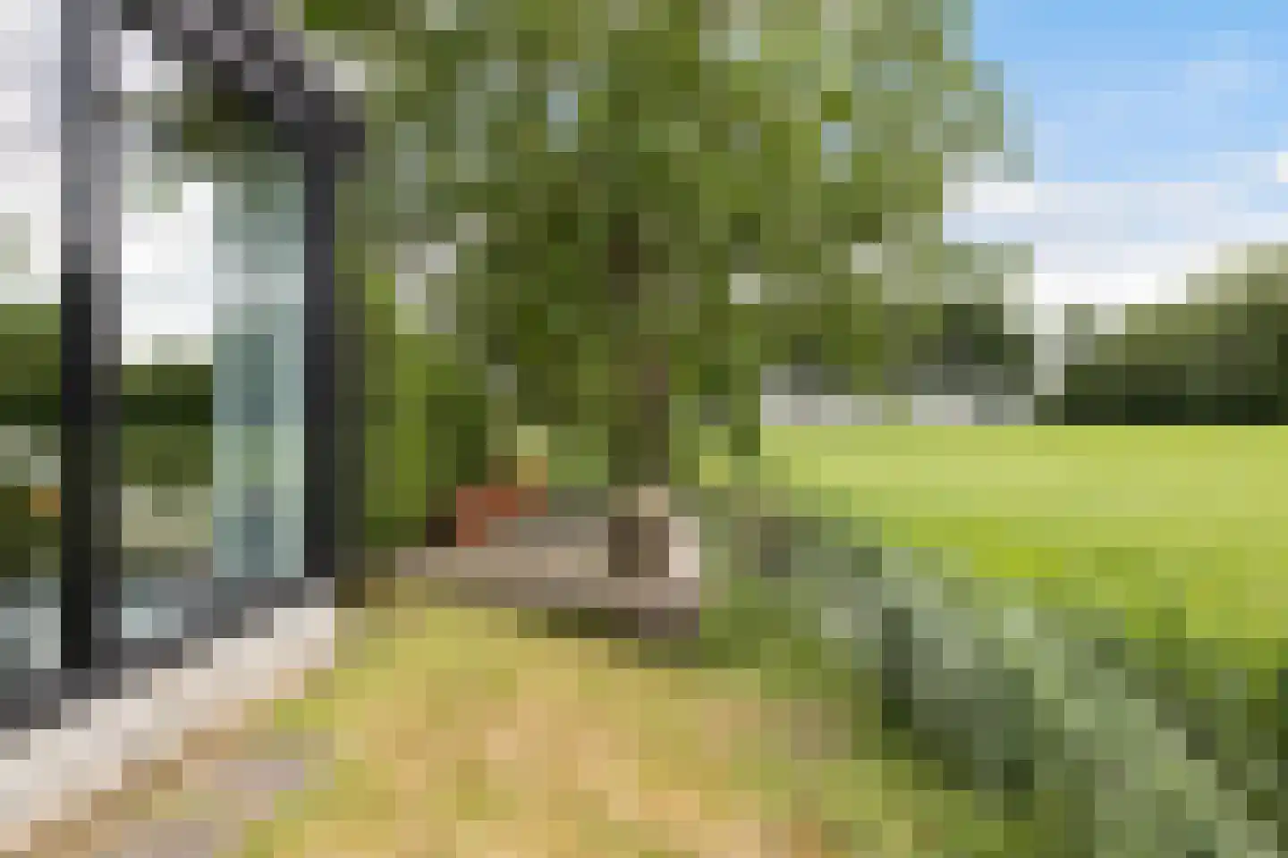 Hegedyk 38 Marsum thumbnail 60