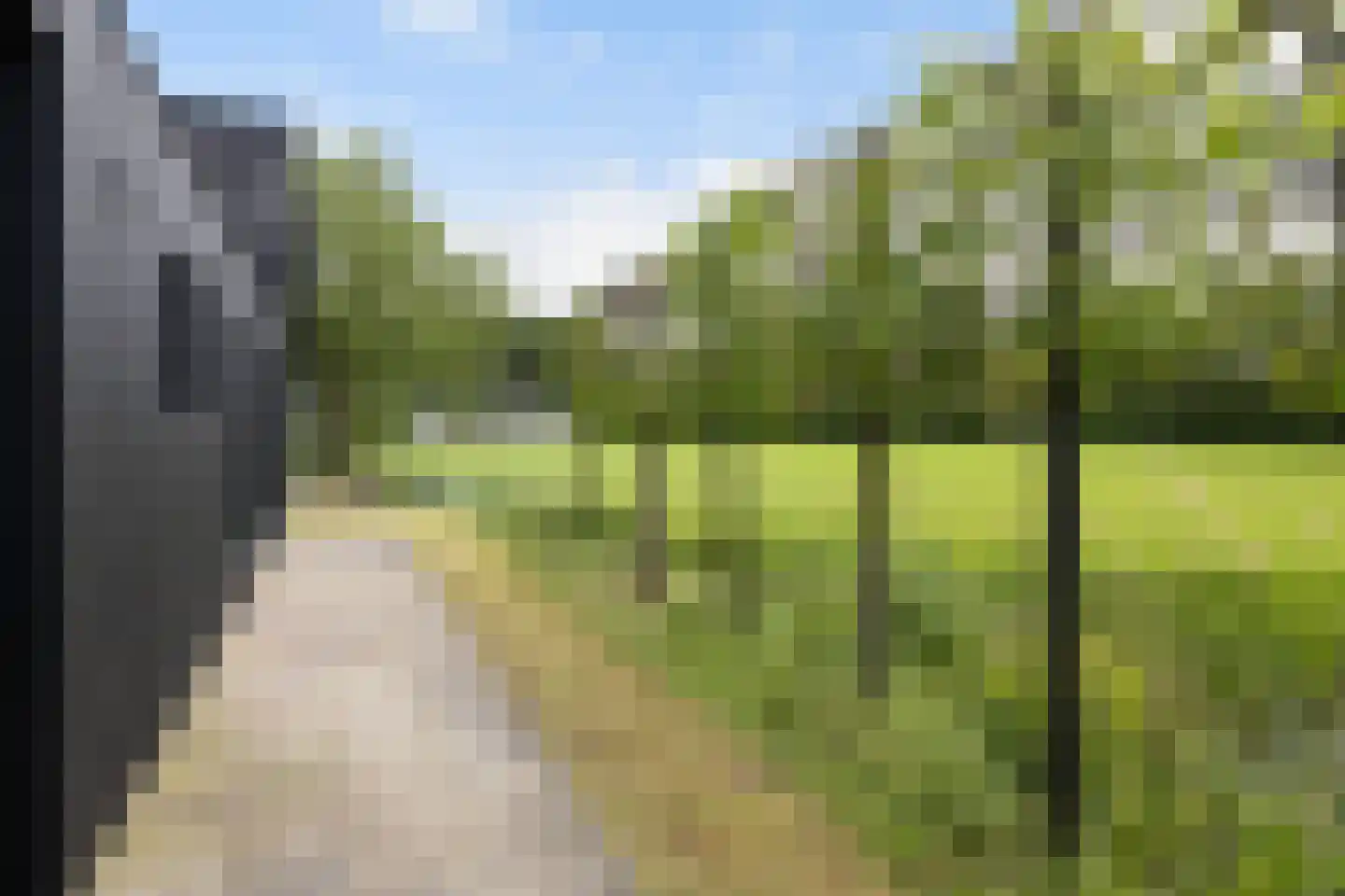 Hegedyk 38 Marsum thumbnail 61
