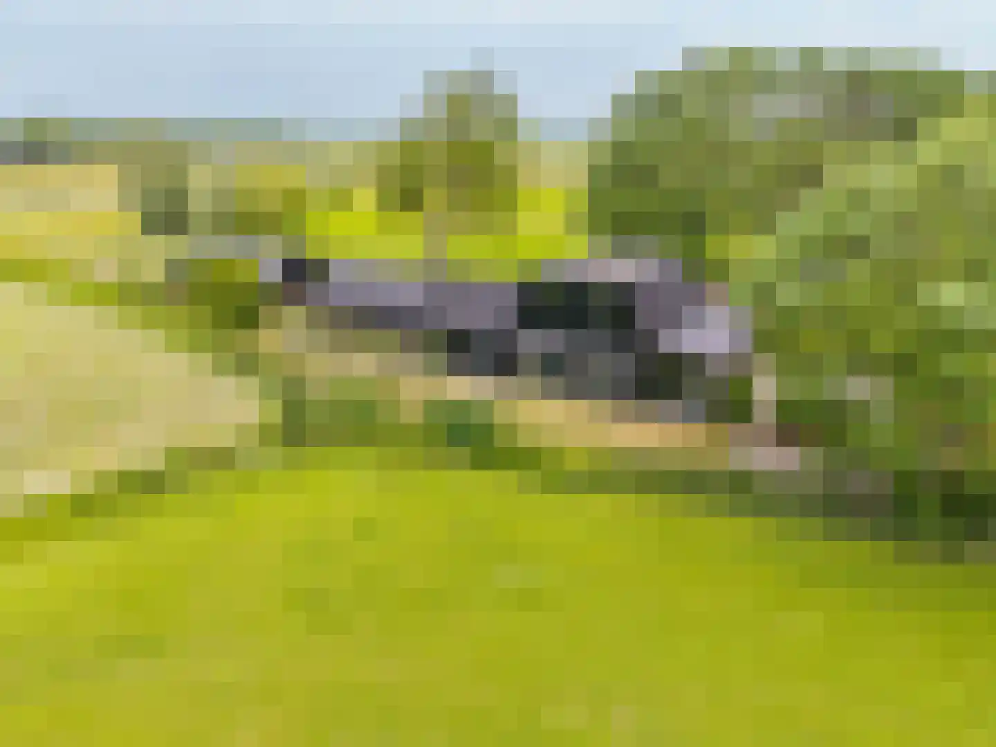 Hegedyk 38 Marsum thumbnail 66