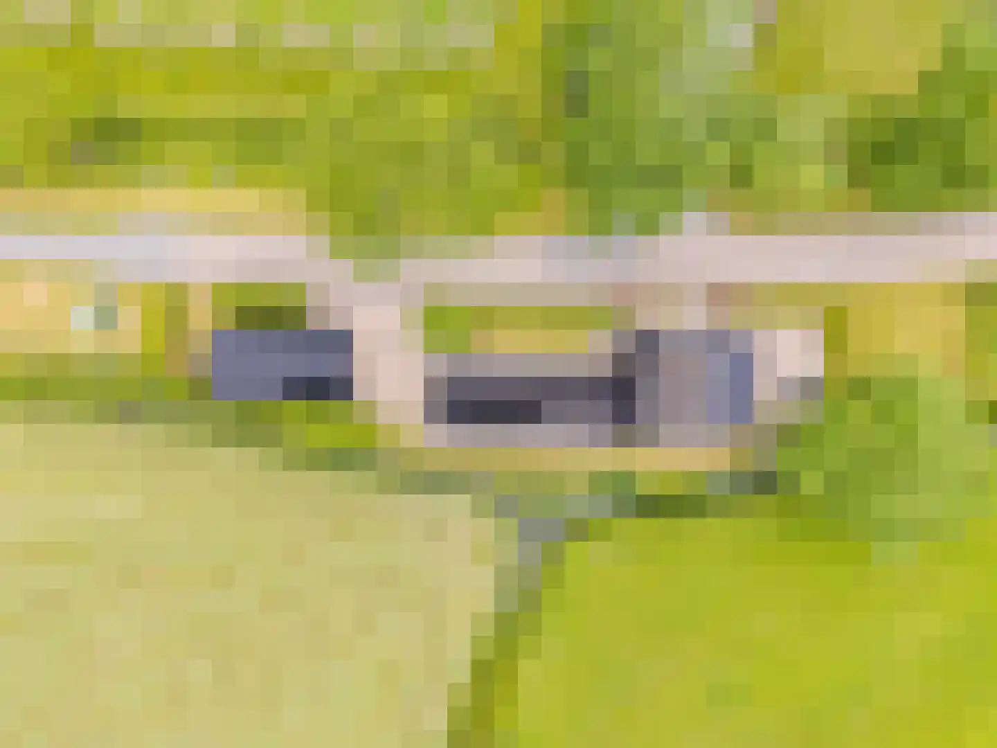 Hegedyk 38 Marsum thumbnail 67