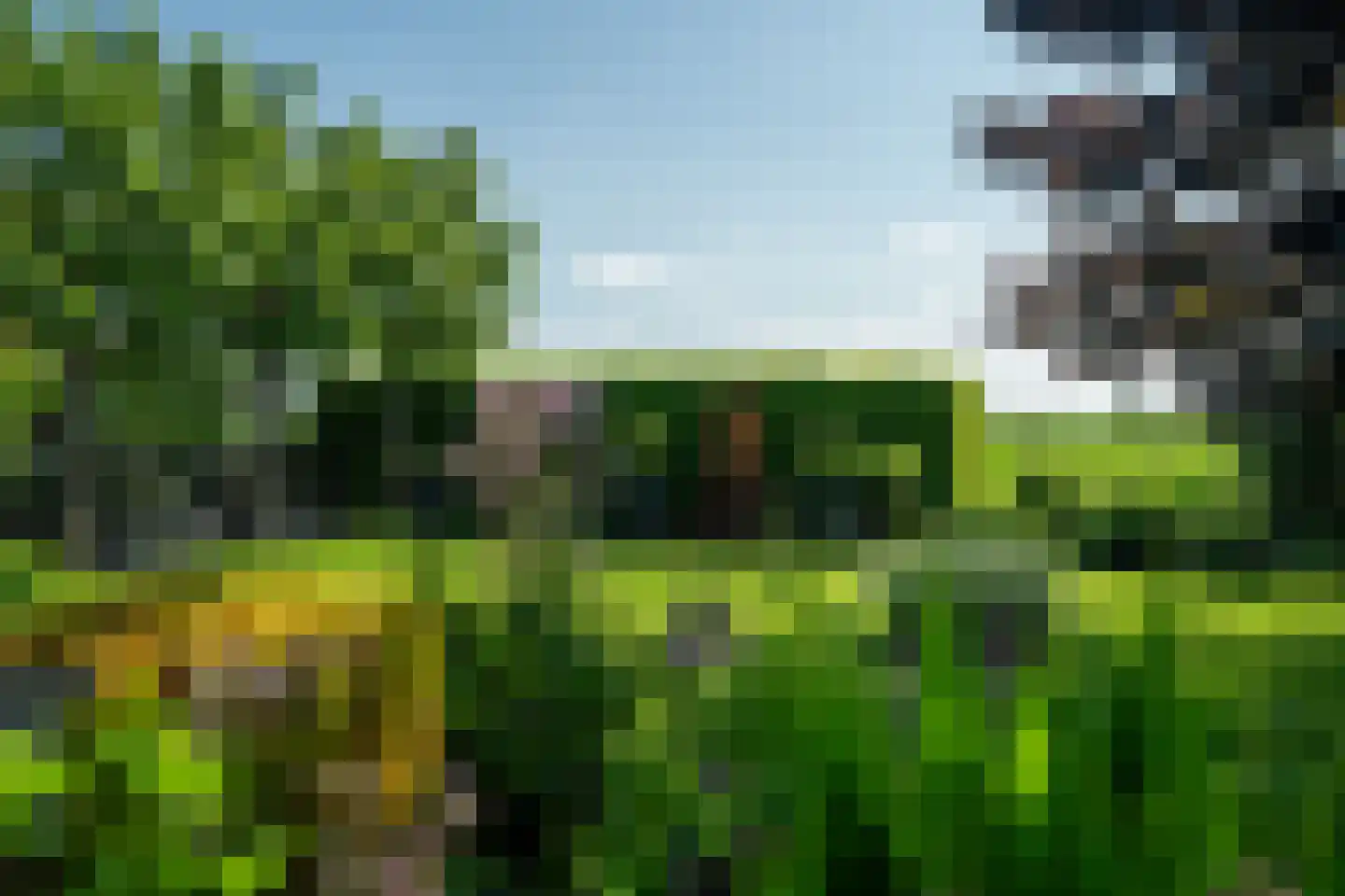 Hegedyk 4 Jellum thumbnail 16