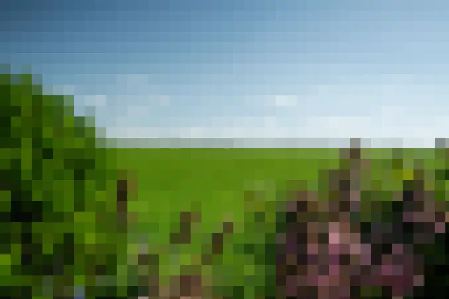 Hegedyk 4 Jellum thumbnail 17