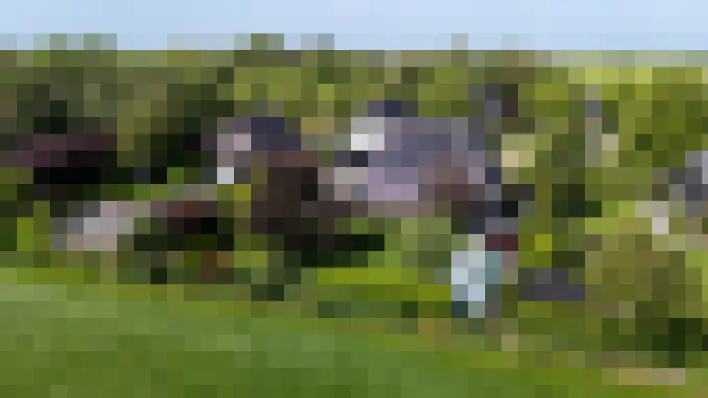 Hegedyk 4 Jellum foto 2
