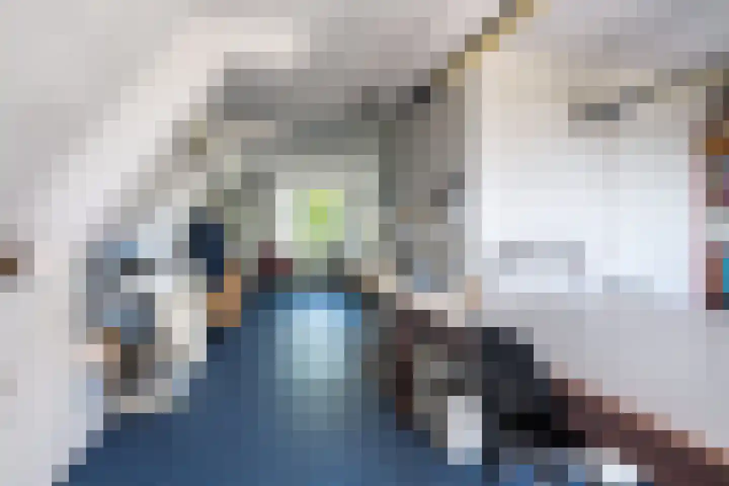 Hegedyk 4 Jellum thumbnail 40