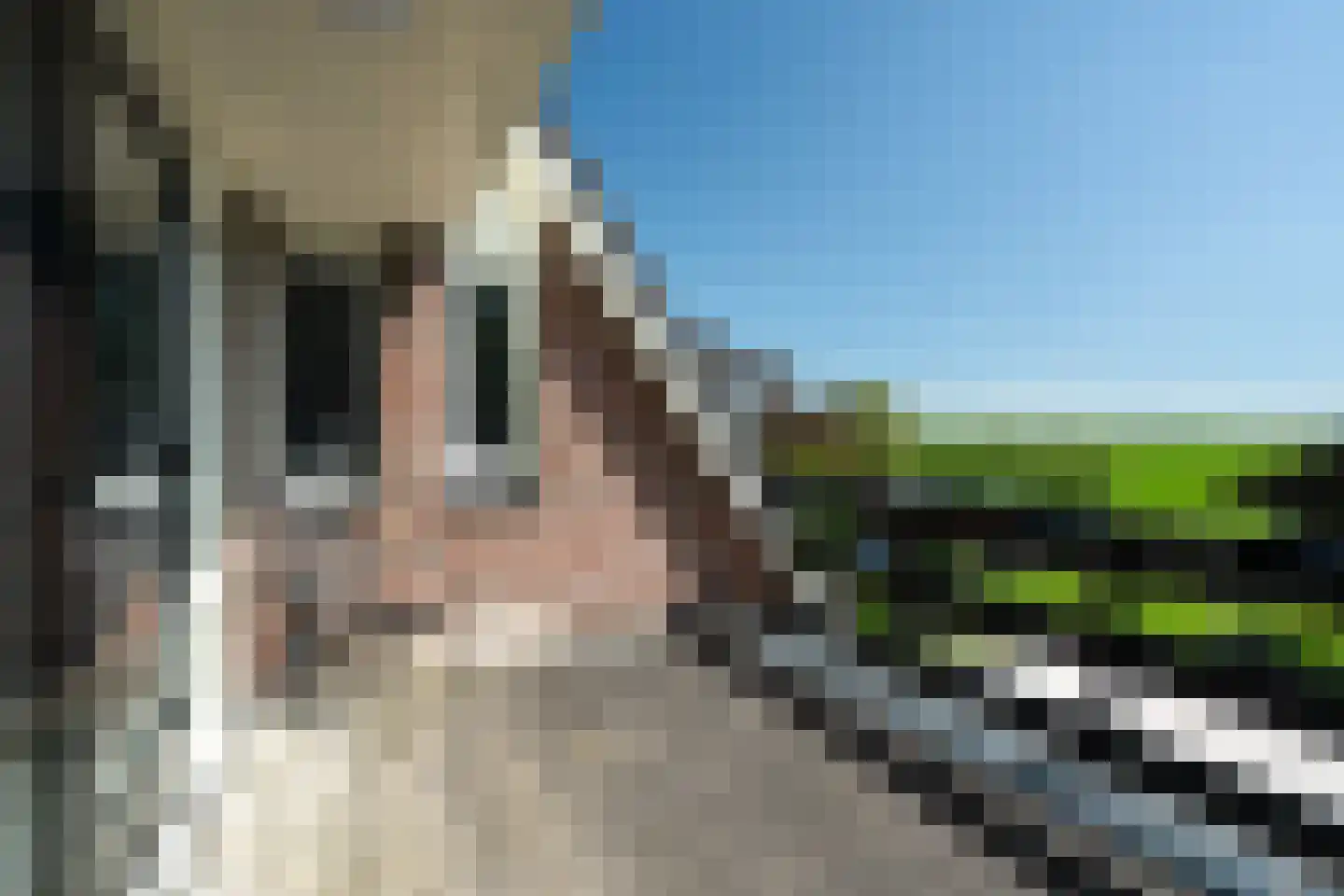 Hegedyk 4 Jellum thumbnail 43