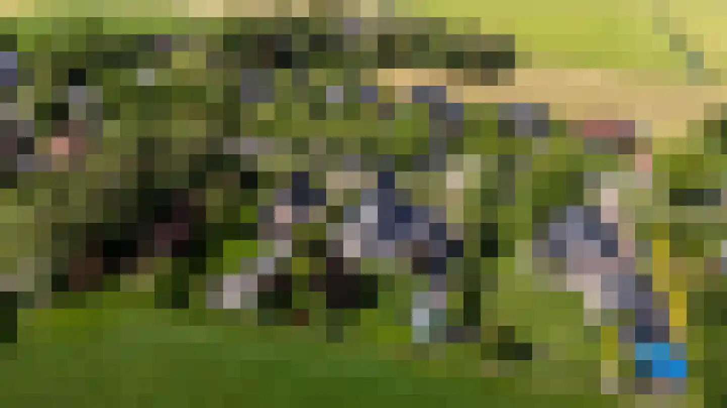 Hegedyk 4 Jellum thumbnail 5
