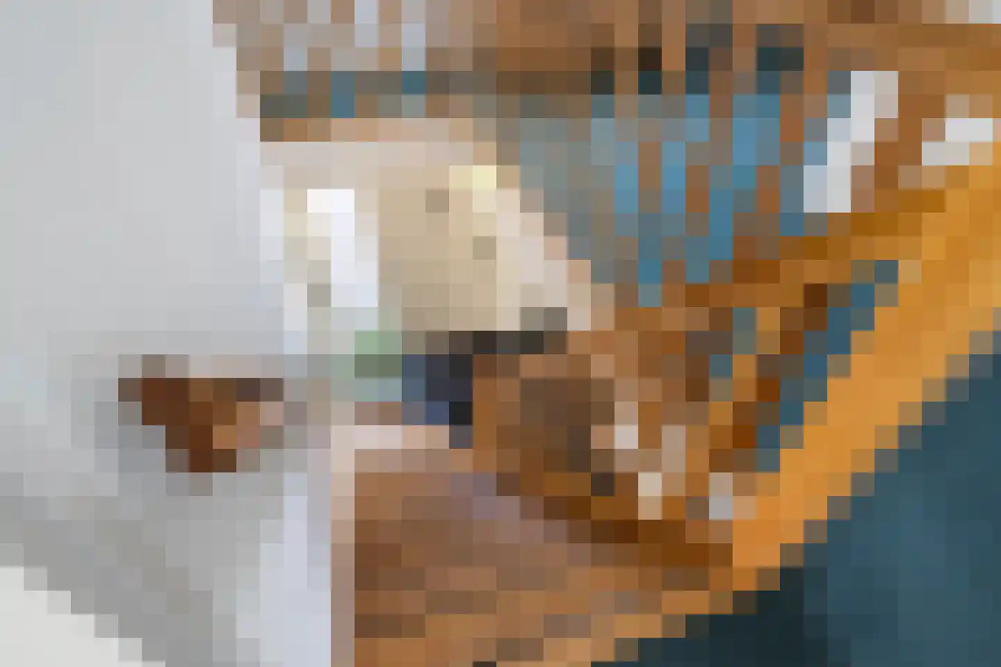 Hegedyk 4 Jellum thumbnail 53