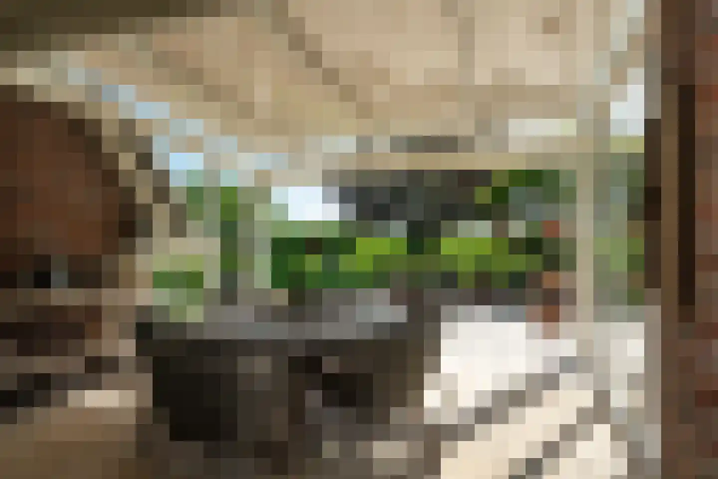 Hegedyk 4 Jellum thumbnail 54