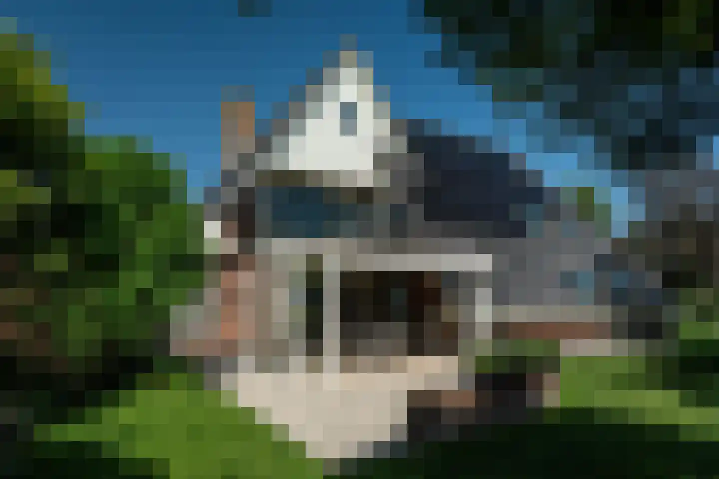Hegedyk 4 Jellum thumbnail 56