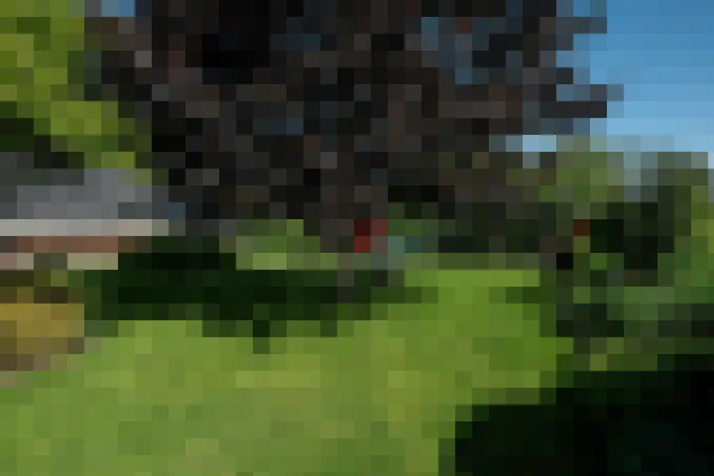 Hegedyk 4 Jellum thumbnail 59