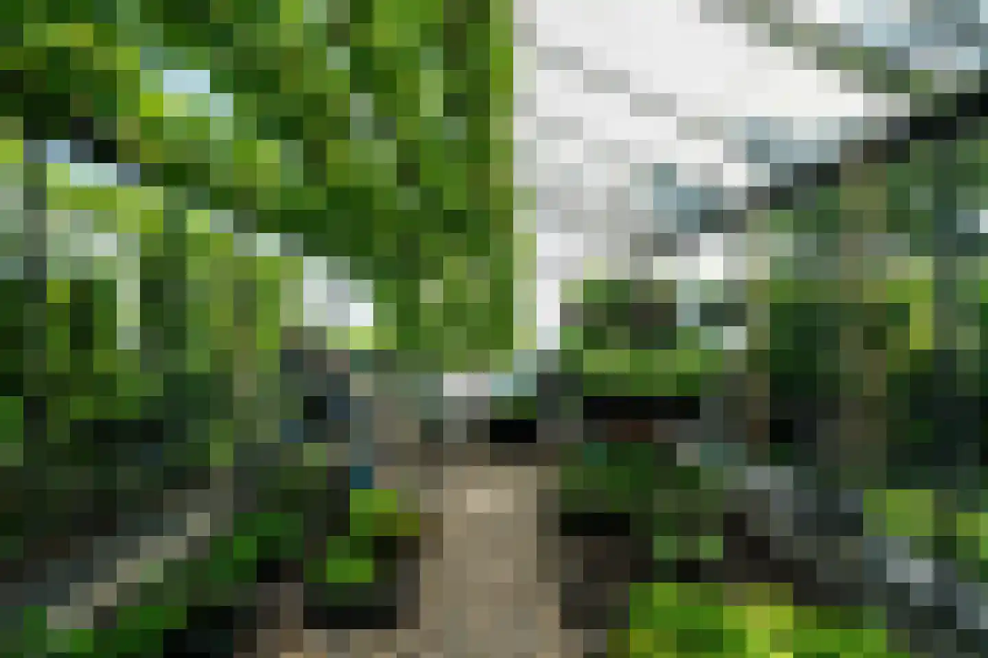Hegedyk 4 Jellum thumbnail 65