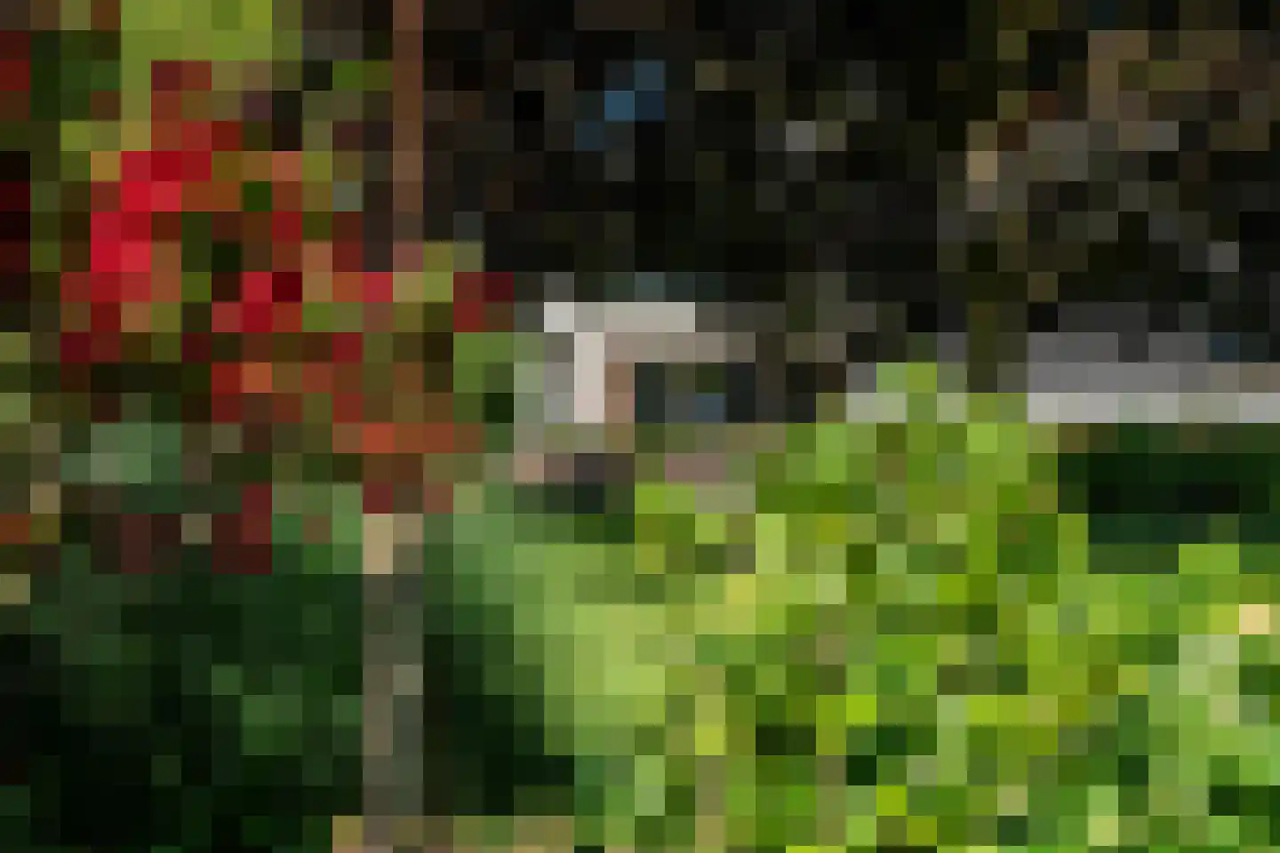 Hegedyk 4 Jellum thumbnail 66