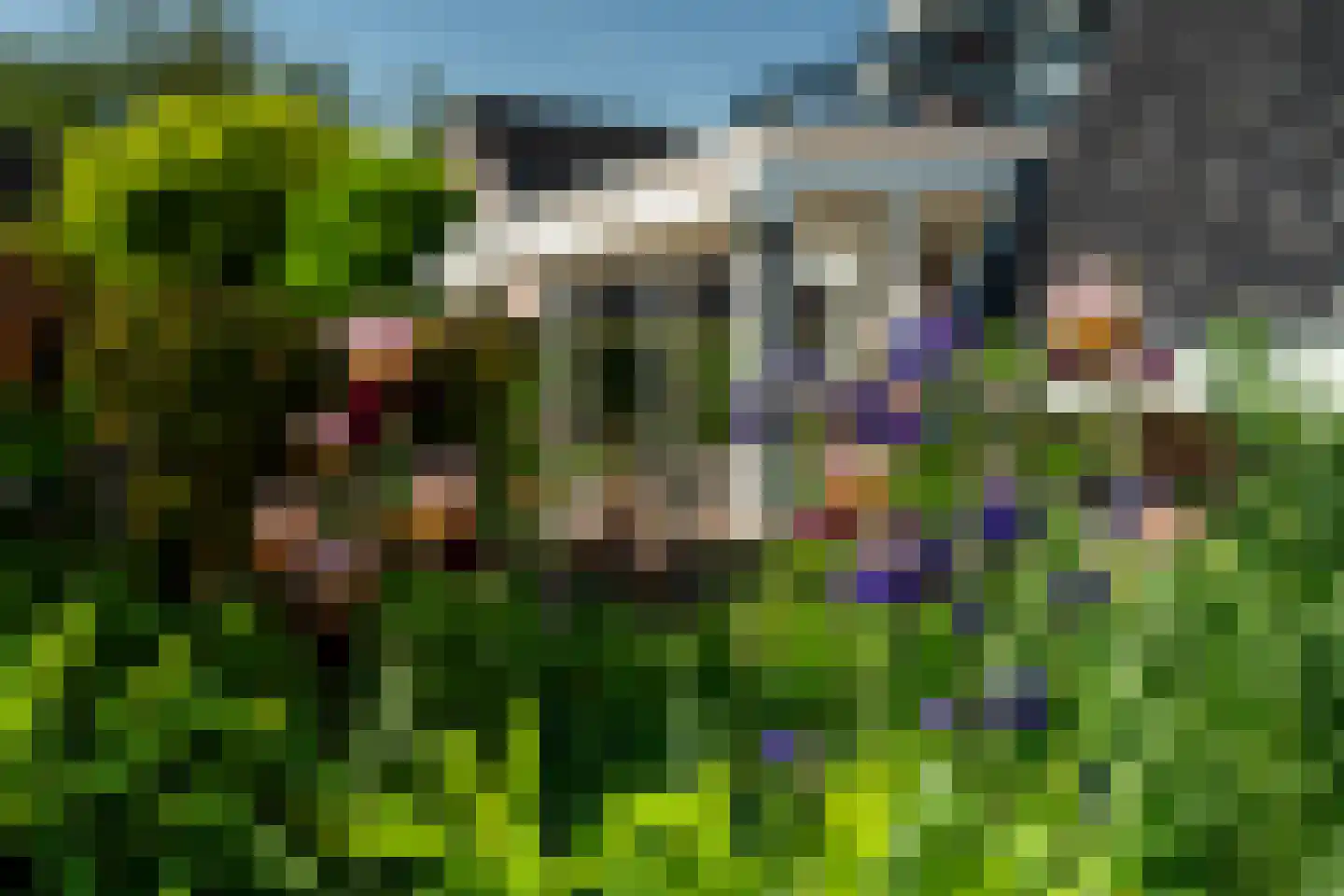 Hegedyk 4 Jellum thumbnail 68