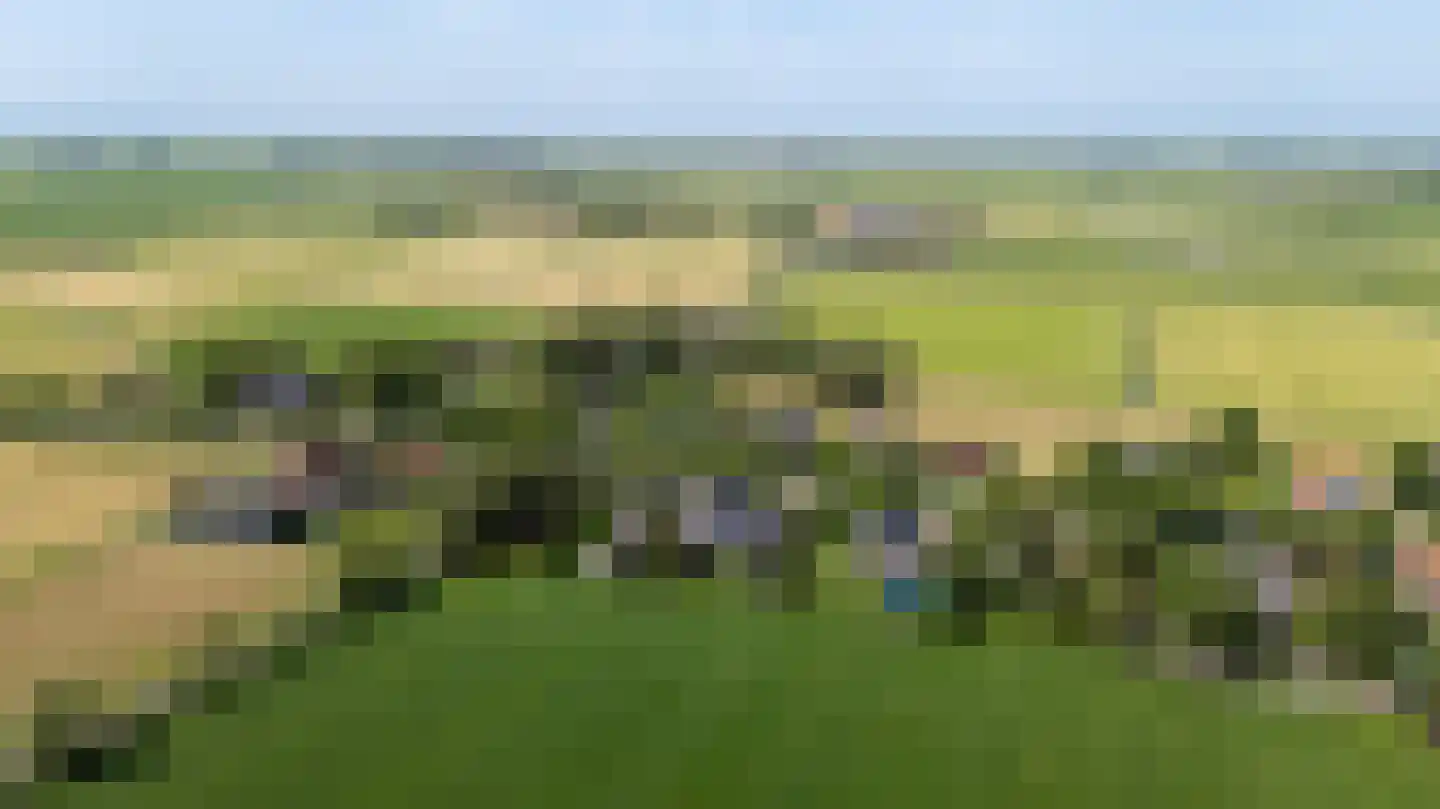 Hegedyk 4 Jellum thumbnail 75
