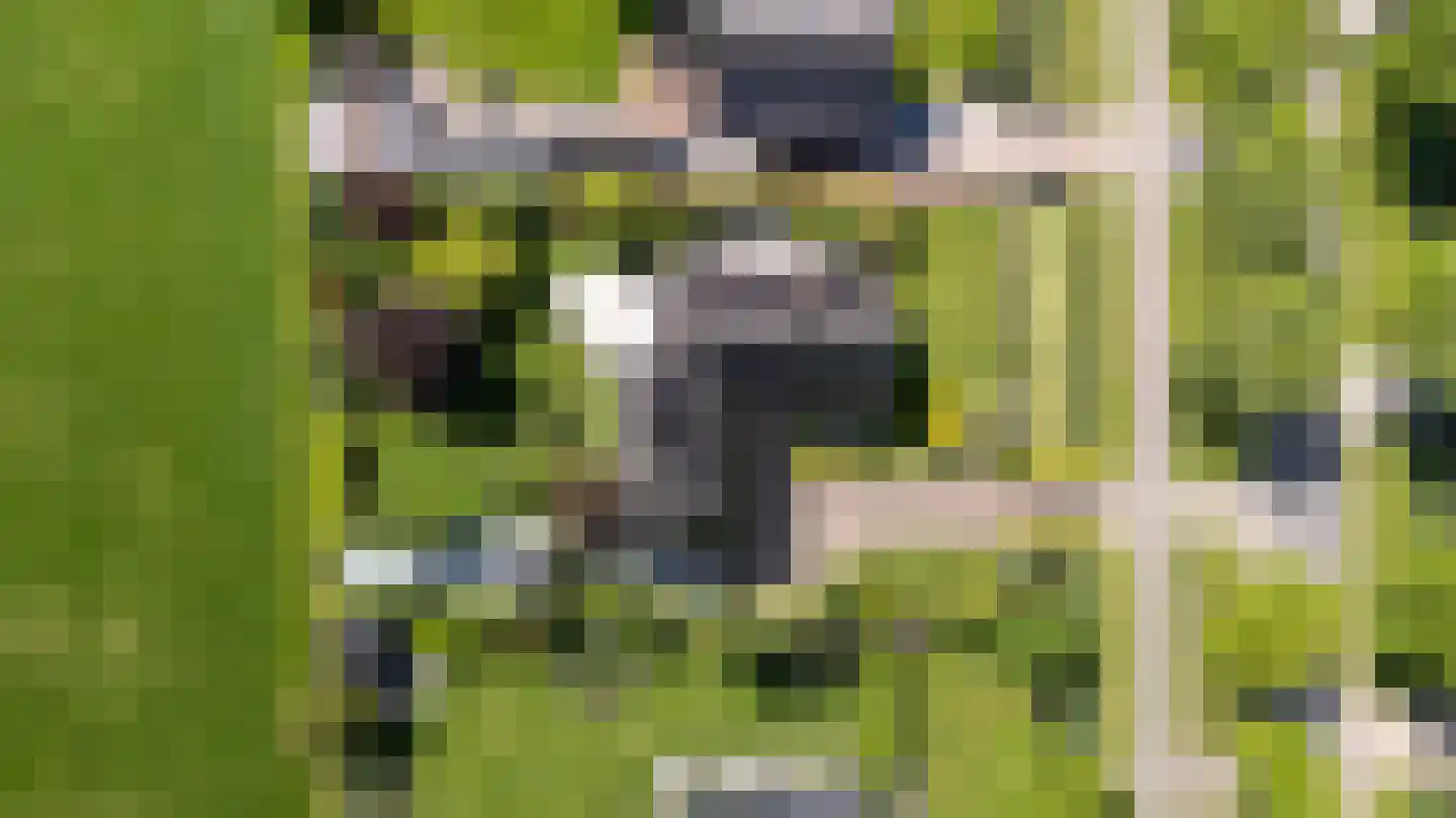 Hegedyk 4 Jellum thumbnail 76