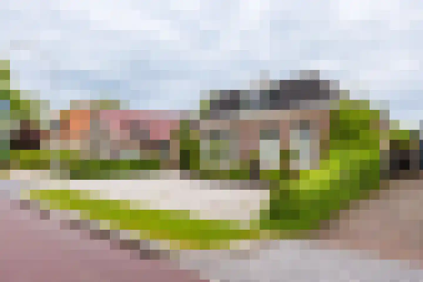 Hegedyk 60 Langezwaag thumbnail 10