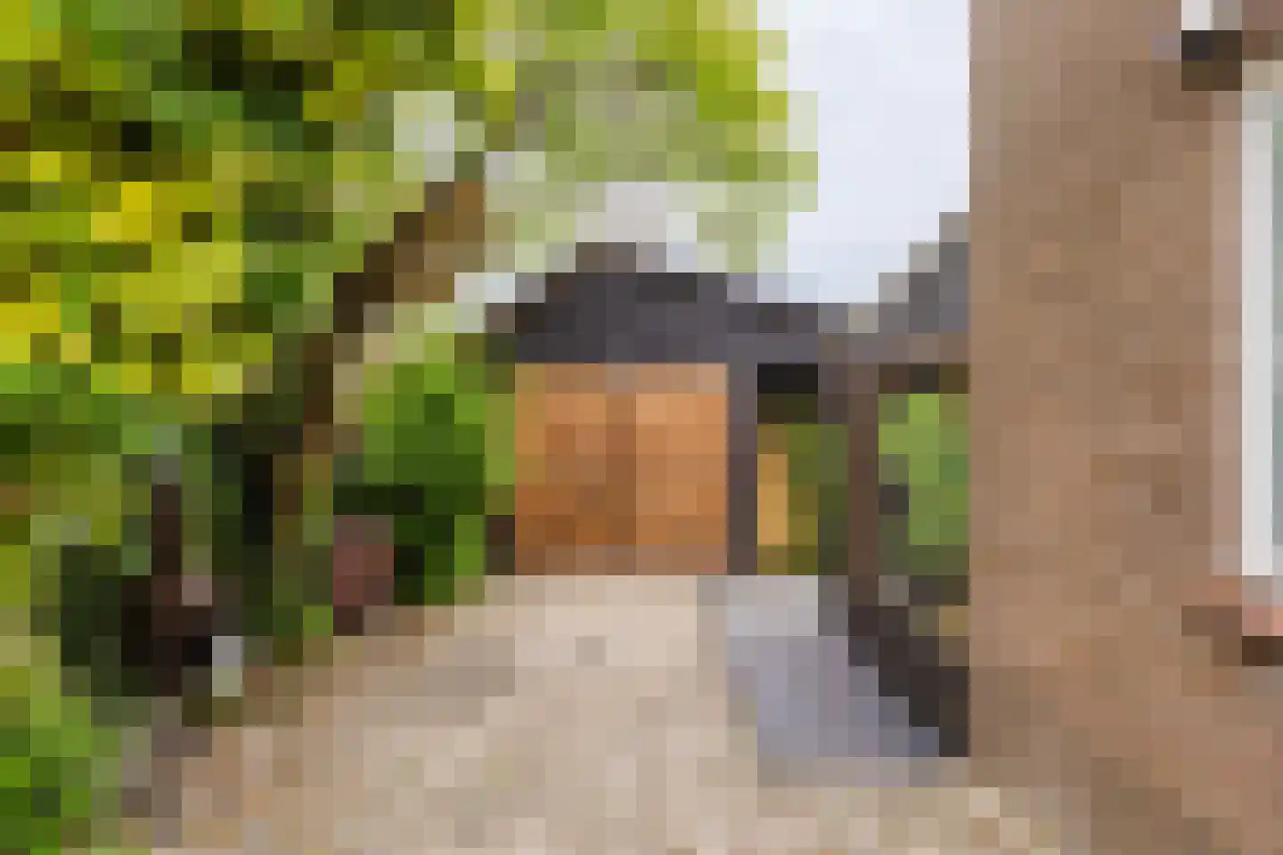 Hegedyk 60 Langezwaag thumbnail 11