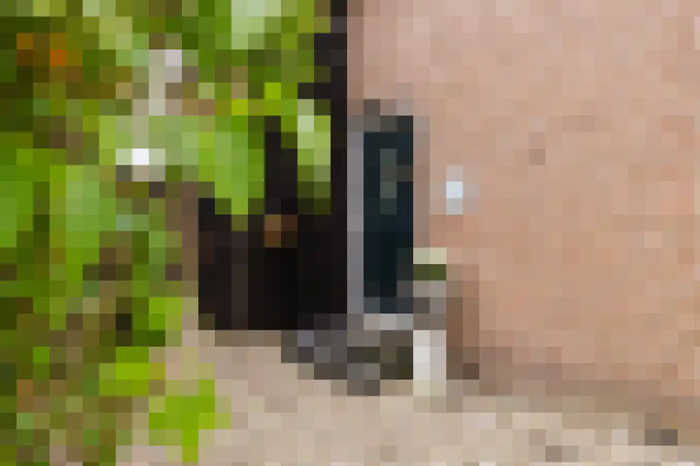 Hegedyk 60 Langezwaag thumbnail 13