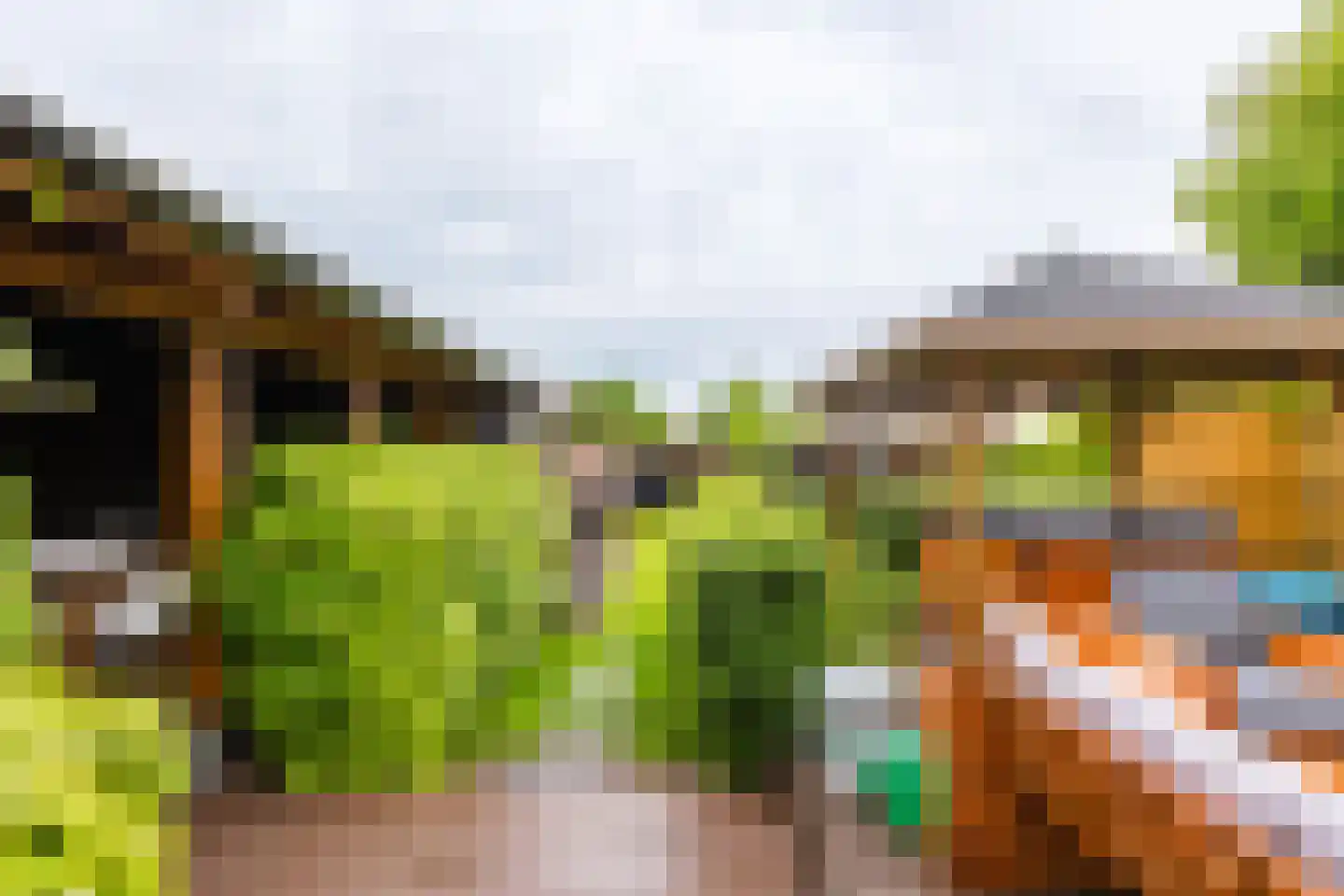 Hegedyk 60 Langezwaag thumbnail 15