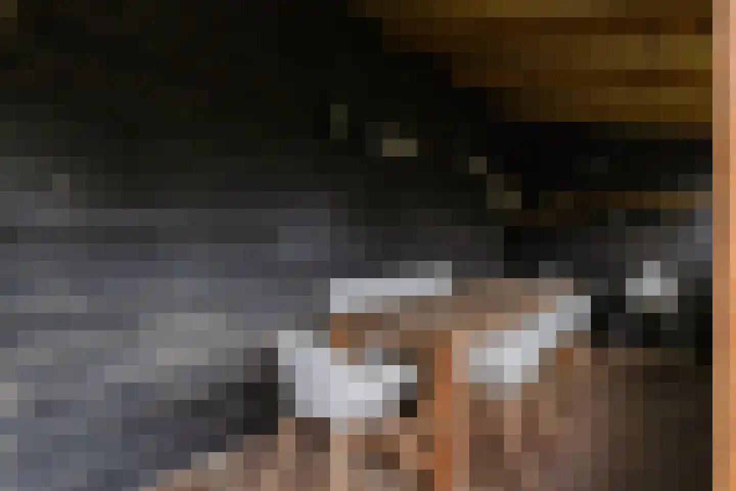 Hegedyk 60 Langezwaag thumbnail 16