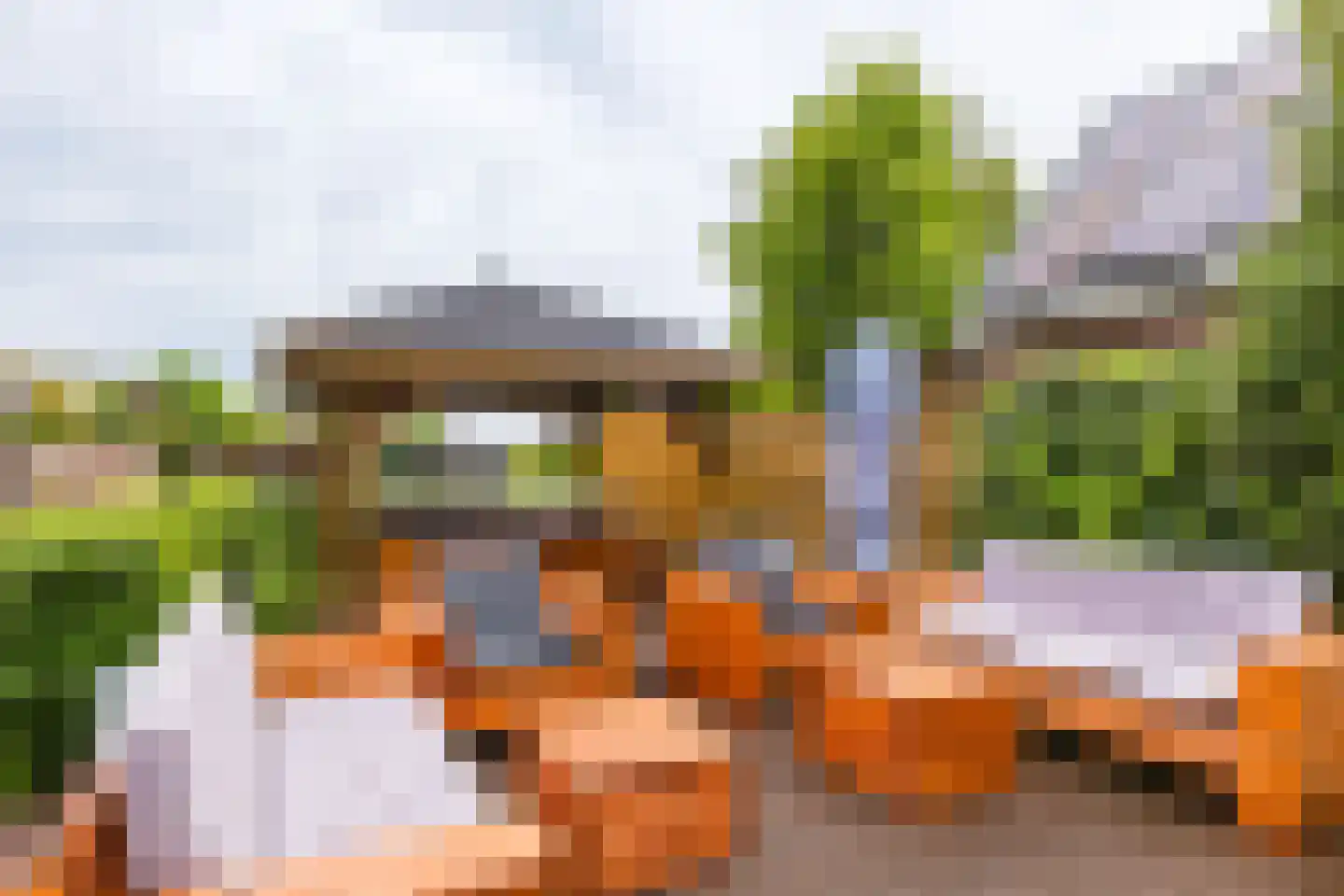 Hegedyk 60 Langezwaag thumbnail 17