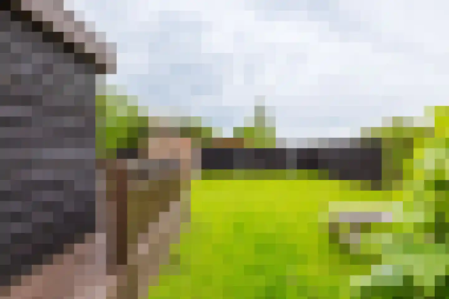 Hegedyk 60 Langezwaag thumbnail 19