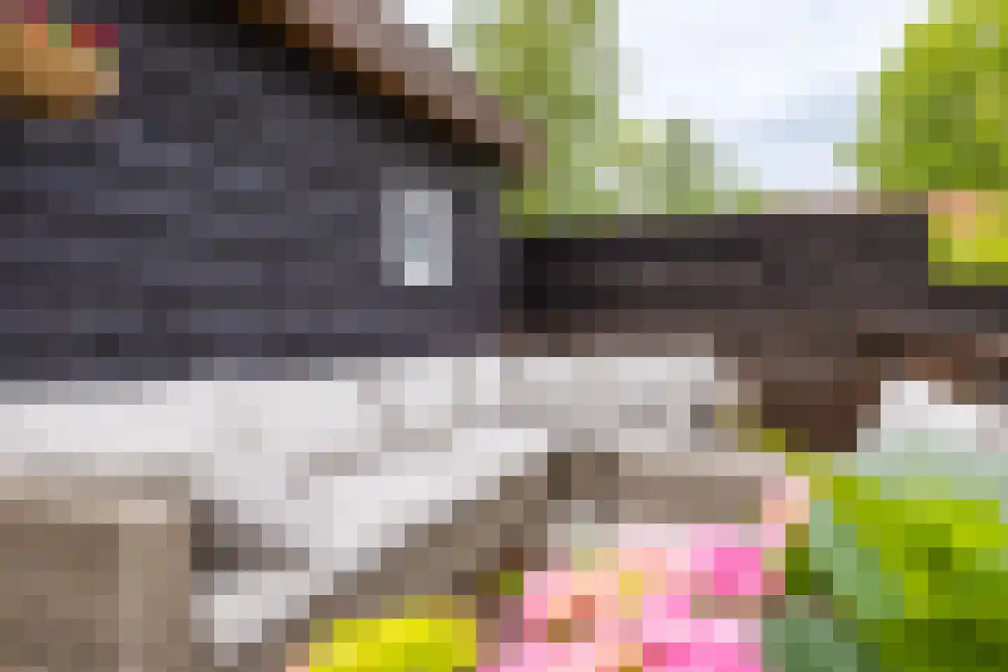 Hegedyk 60 Langezwaag thumbnail 20