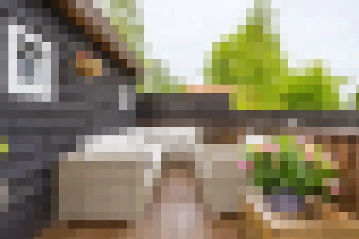 Hegedyk 60 Langezwaag thumbnail 21