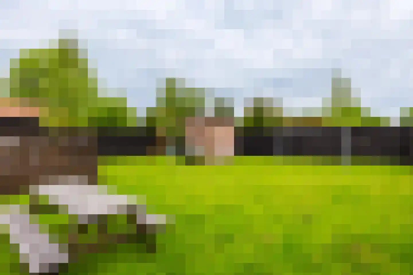 Hegedyk 60 Langezwaag thumbnail 23