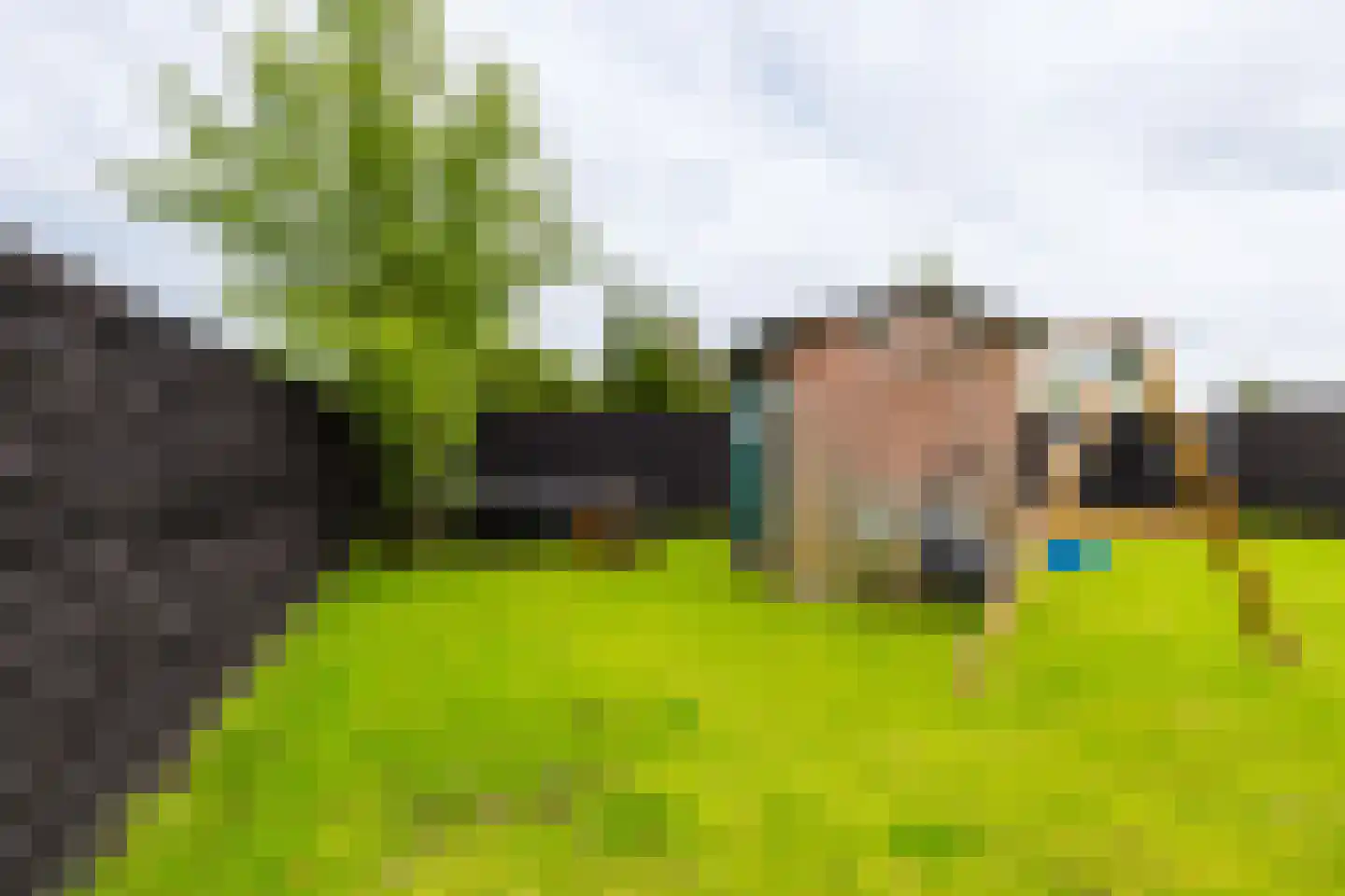 Hegedyk 60 Langezwaag thumbnail 24