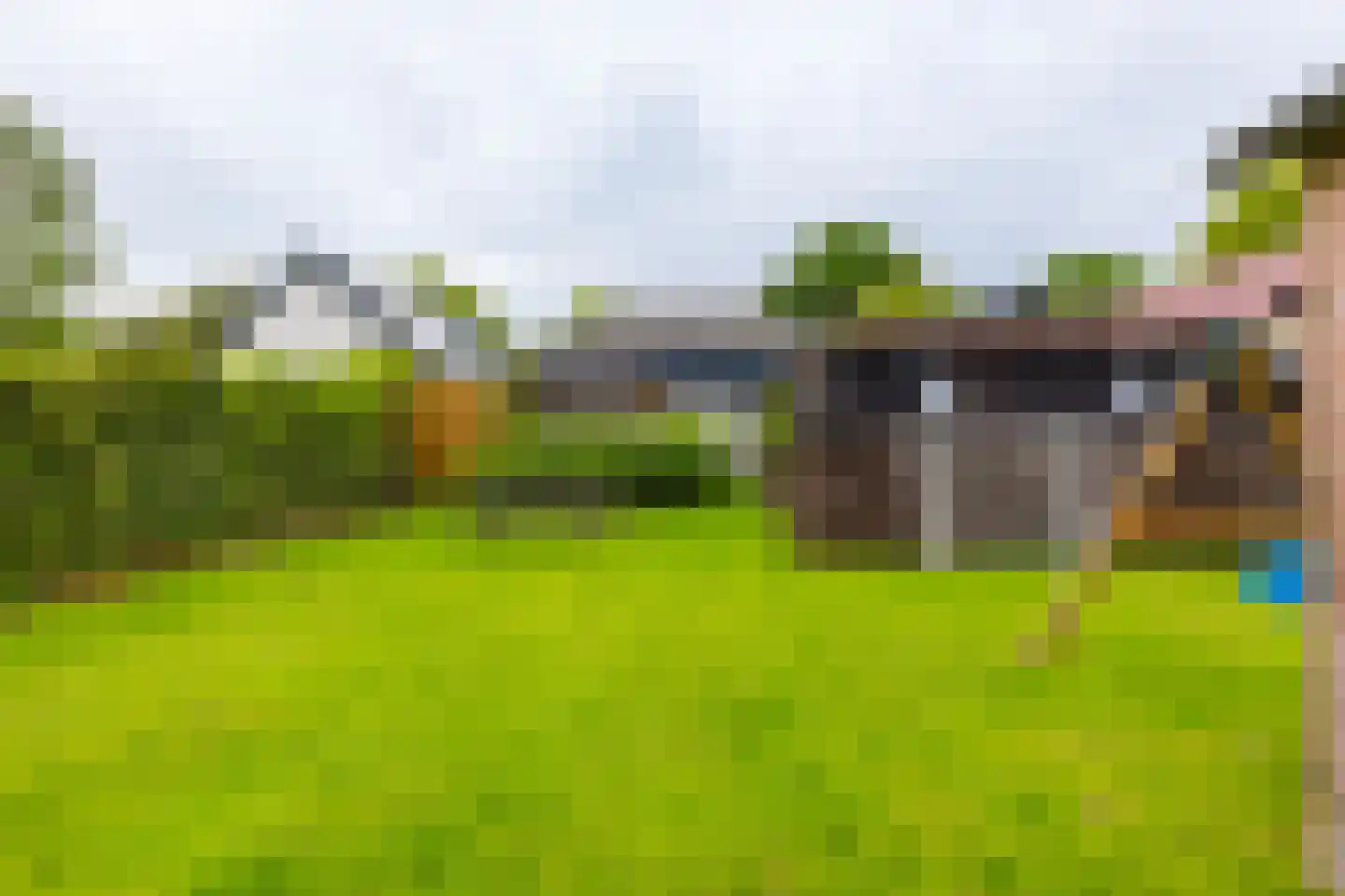 Hegedyk 60 Langezwaag thumbnail 25