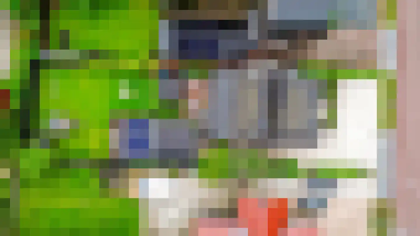 Hegedyk 60 Langezwaag thumbnail 27