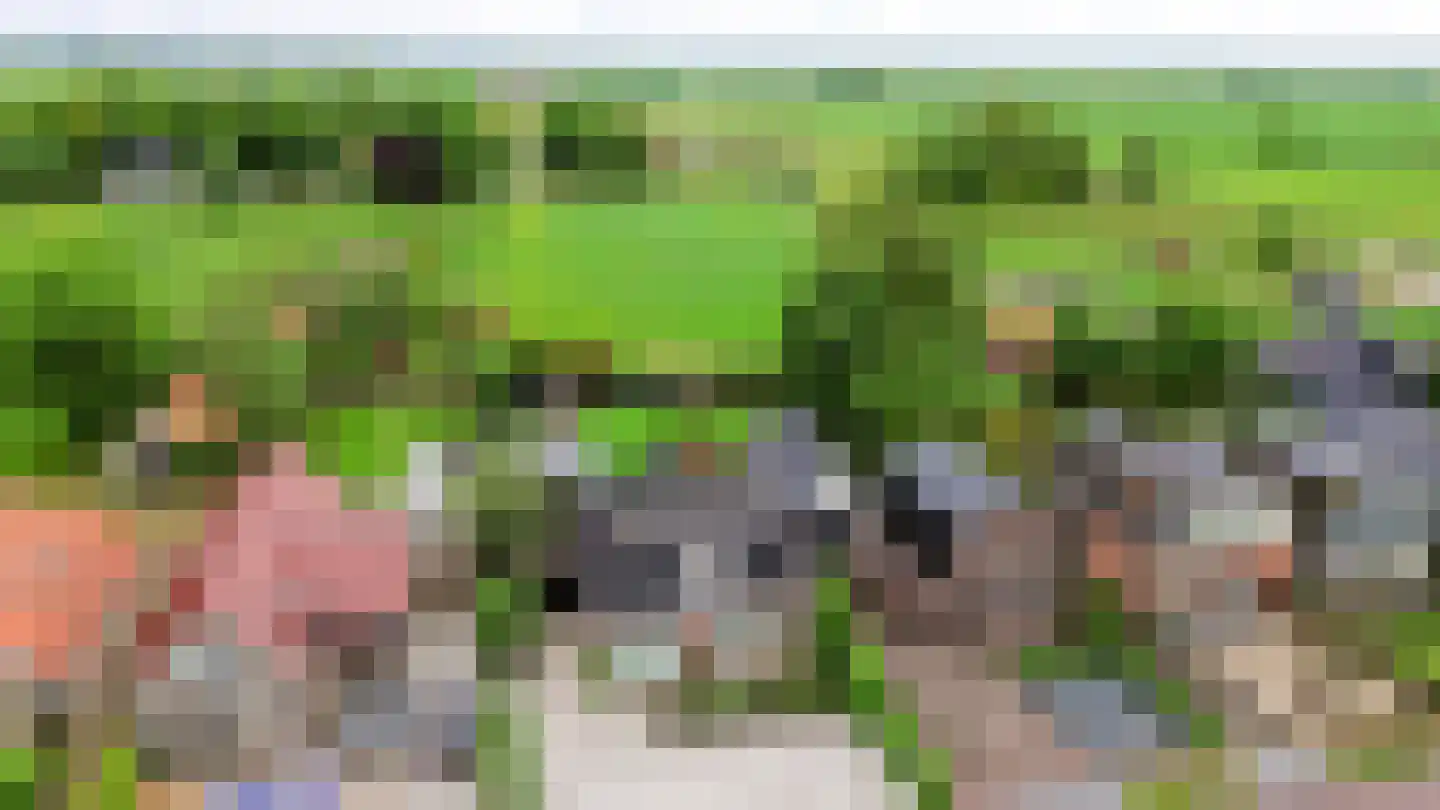 Hegedyk 60 Langezwaag thumbnail 28