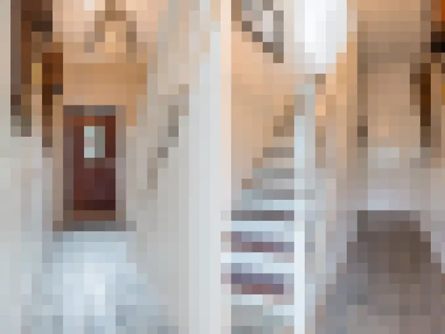 Hegedyk 60 Langezwaag thumbnail 30