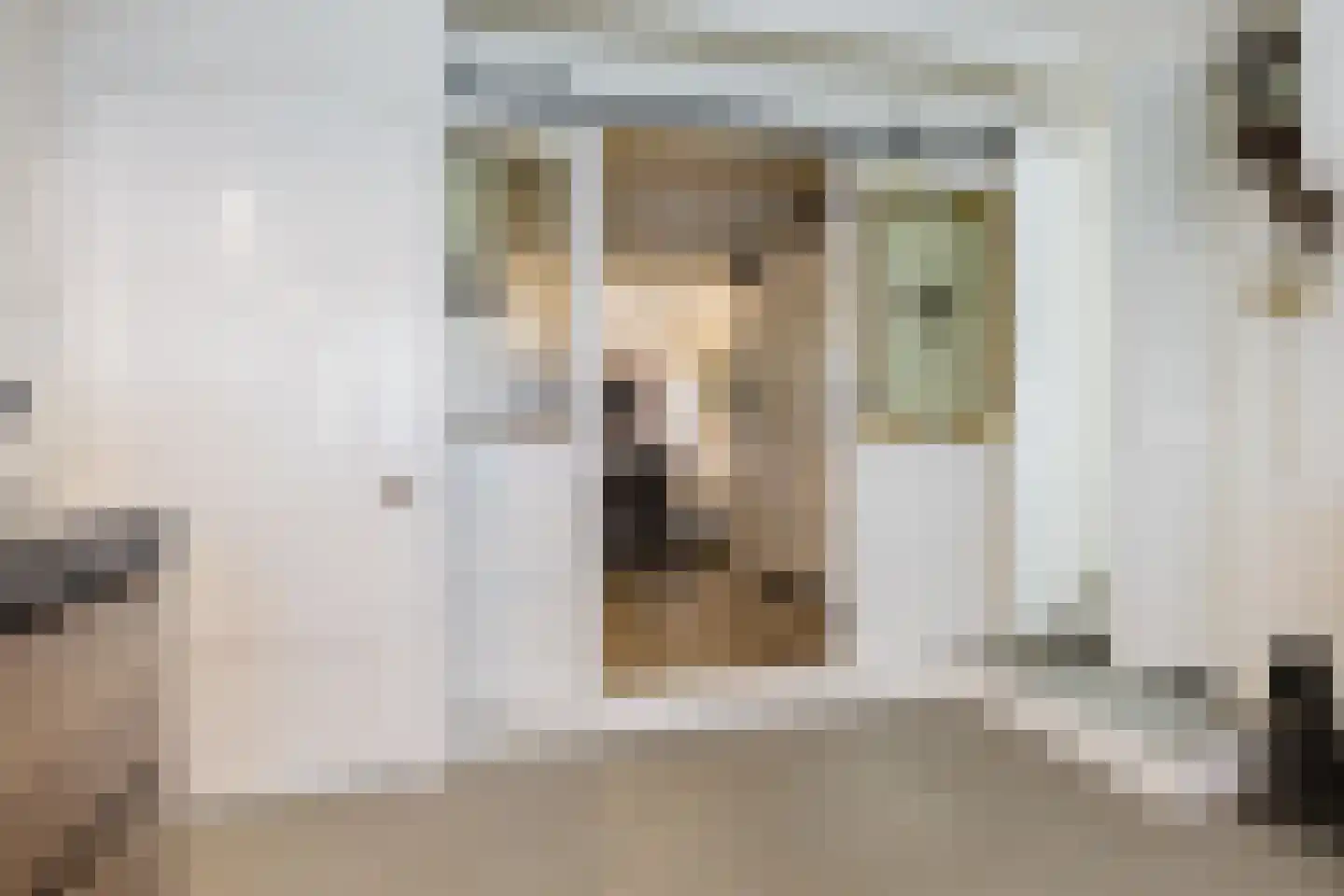 Hegedyk 60 Langezwaag thumbnail 40