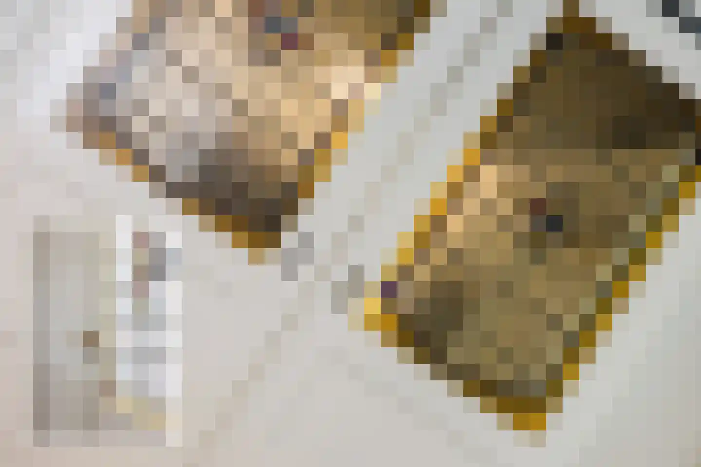 Hegedyk 60 Langezwaag thumbnail 41