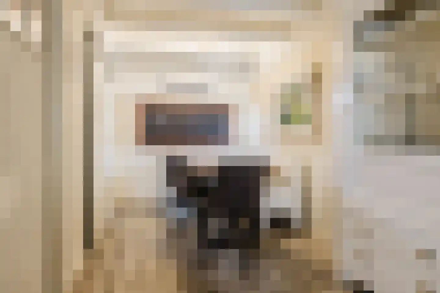 Hegedyk 60 Langezwaag thumbnail 43