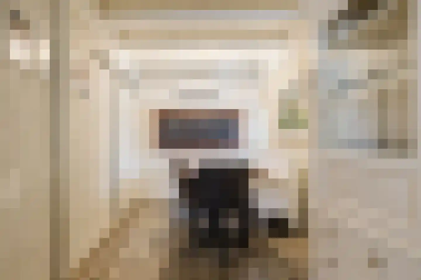 Hegedyk 60 Langezwaag thumbnail 44