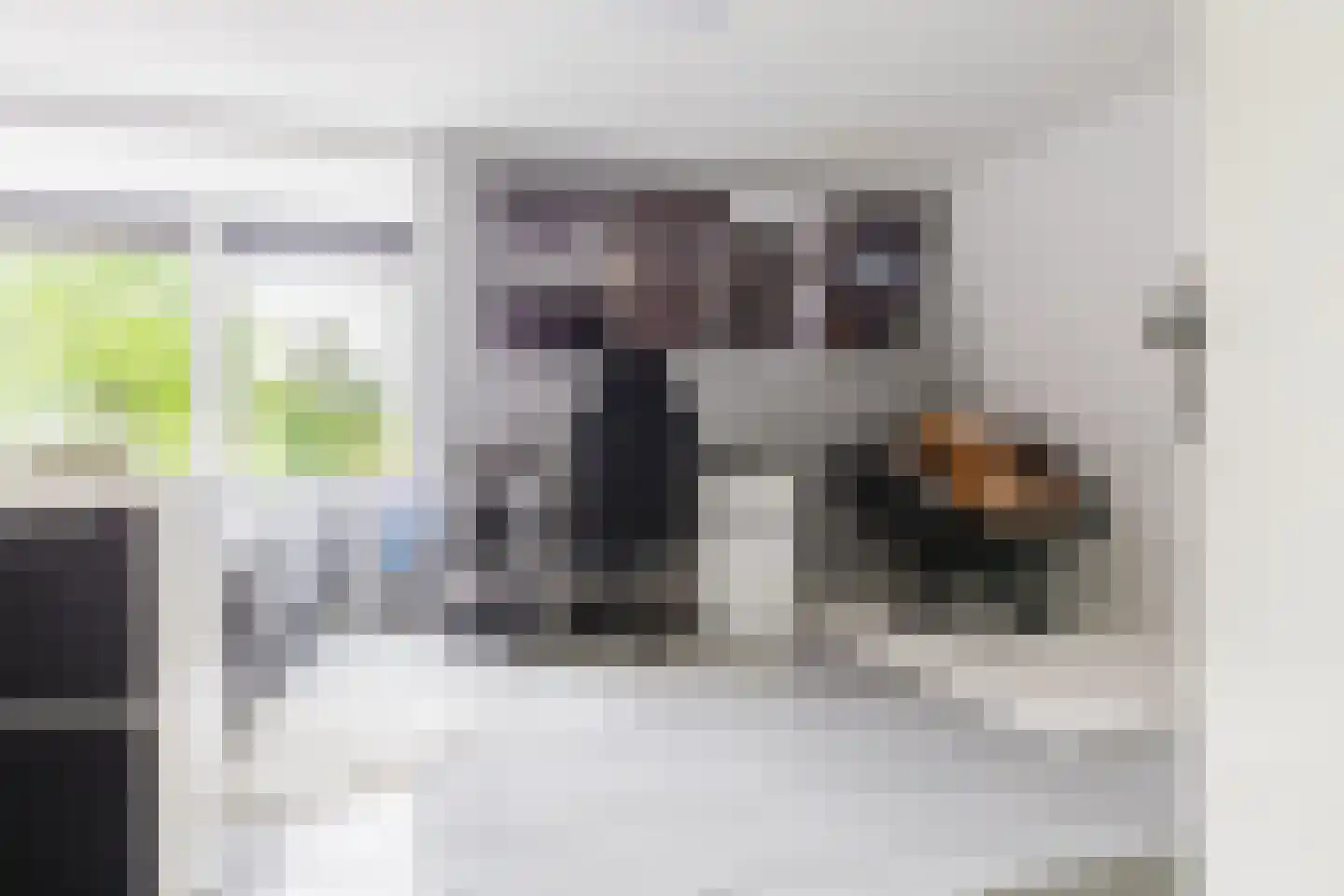 Hegedyk 60 Langezwaag thumbnail 55