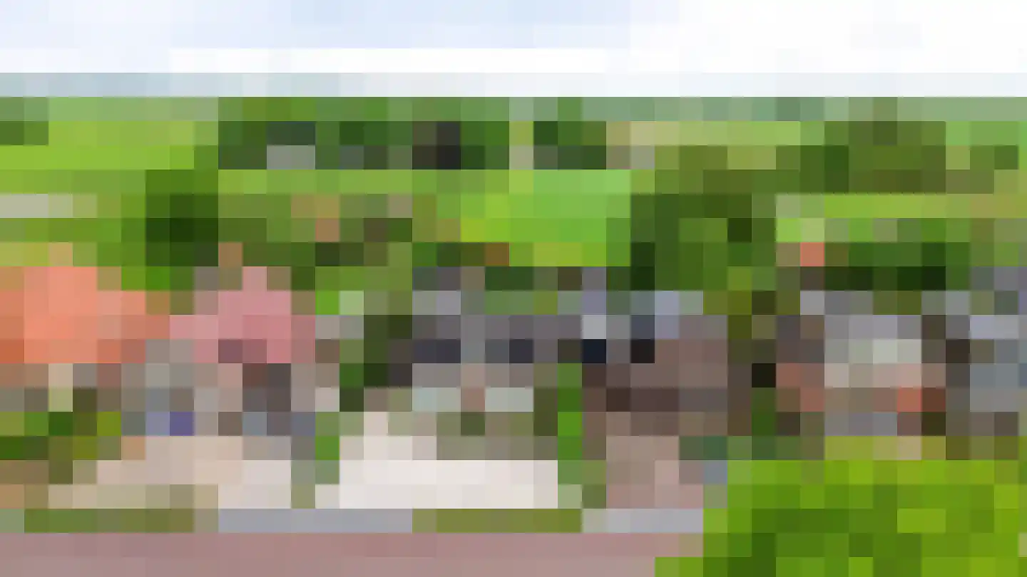 Hegedyk 60 Langezwaag thumbnail 9