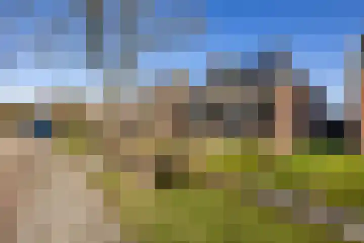 Hegedyk 9 Raerd thumbnail 10